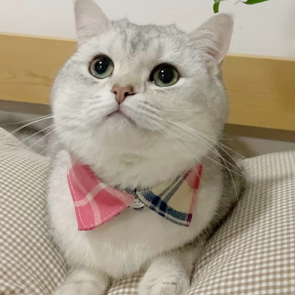 🛍️ 3 for $10 🛍️ Pink Plaid Pet Cat Collar with Bell